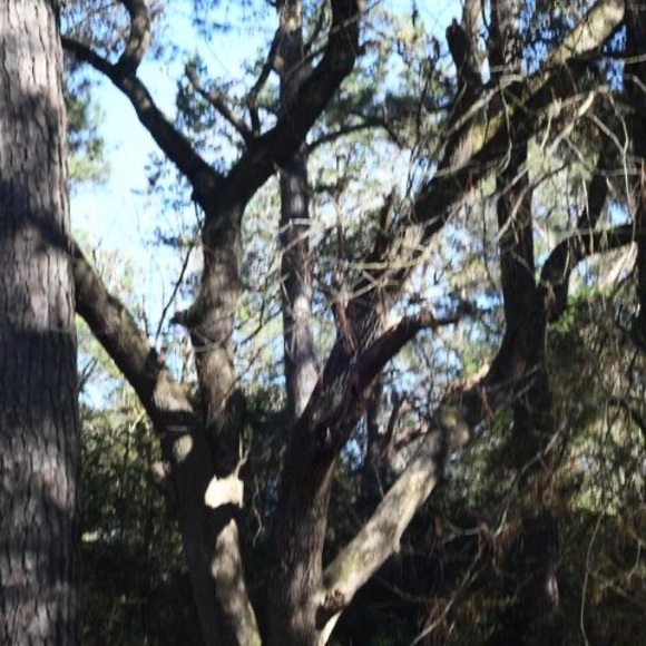 Meet your Posher, Joseph - Picture 1 of 1